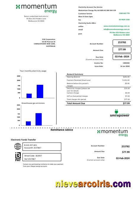 Australia Momentum Energy business utility bill